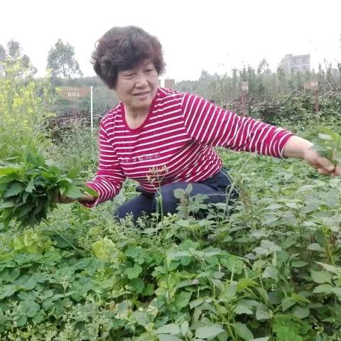 闽南老师