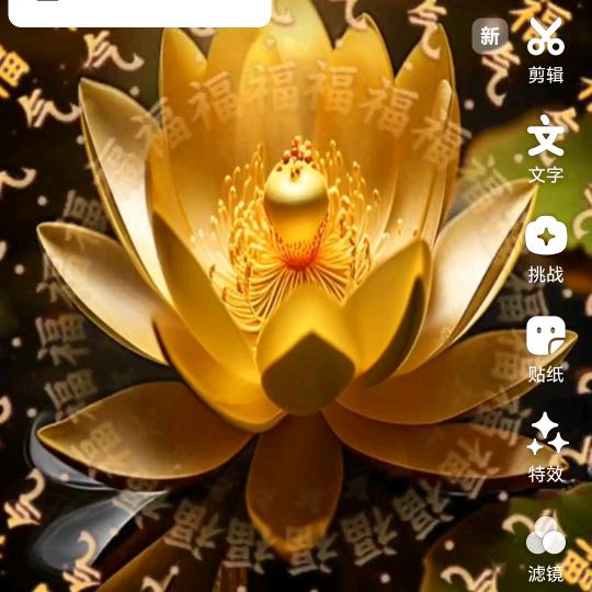 渡心