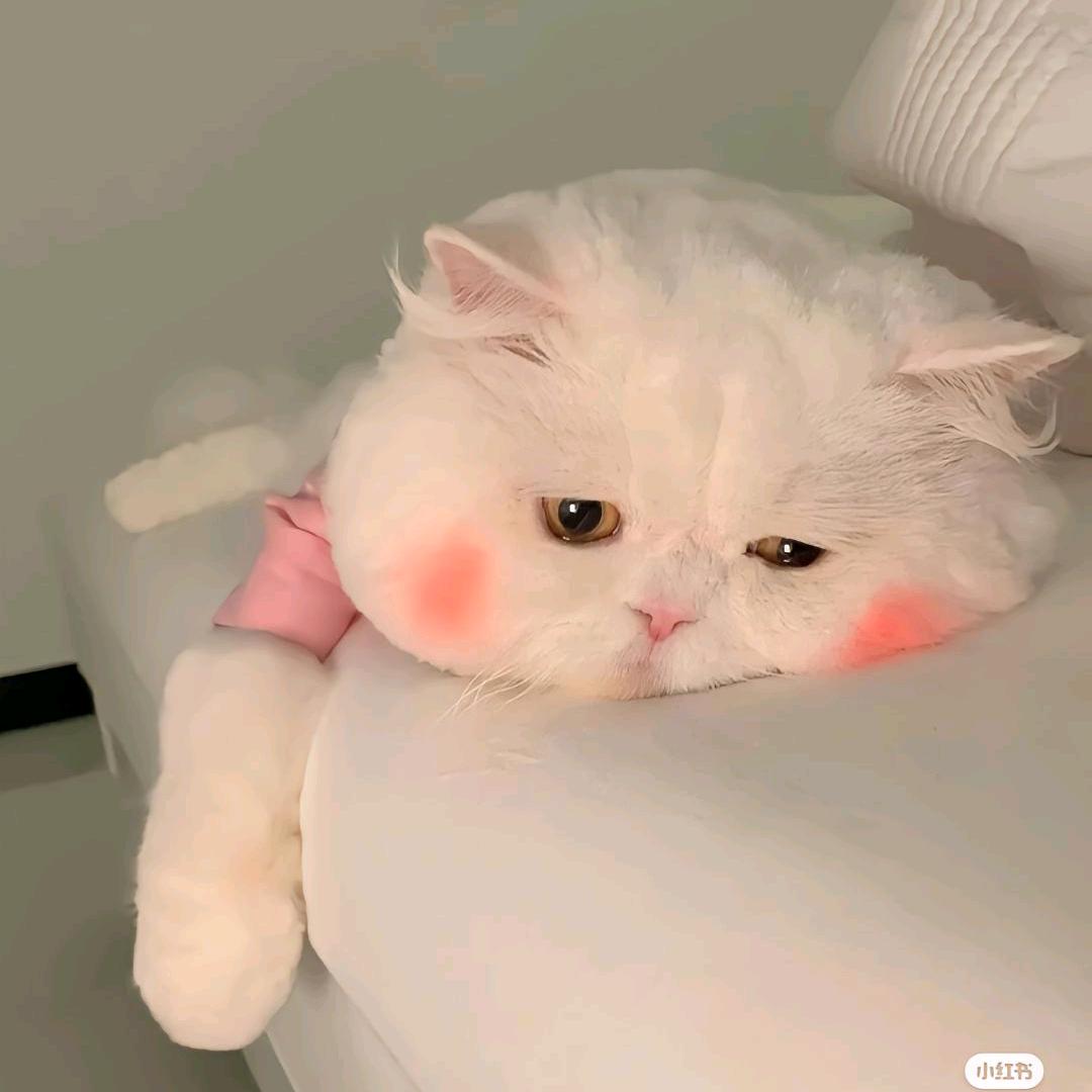 @ℳ爱一直在