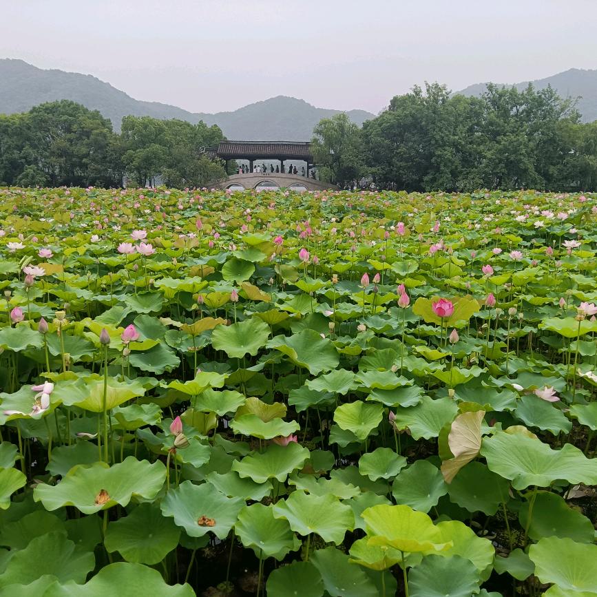 王海