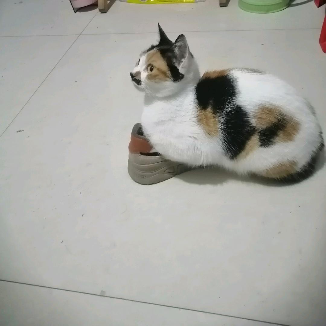 与众不同