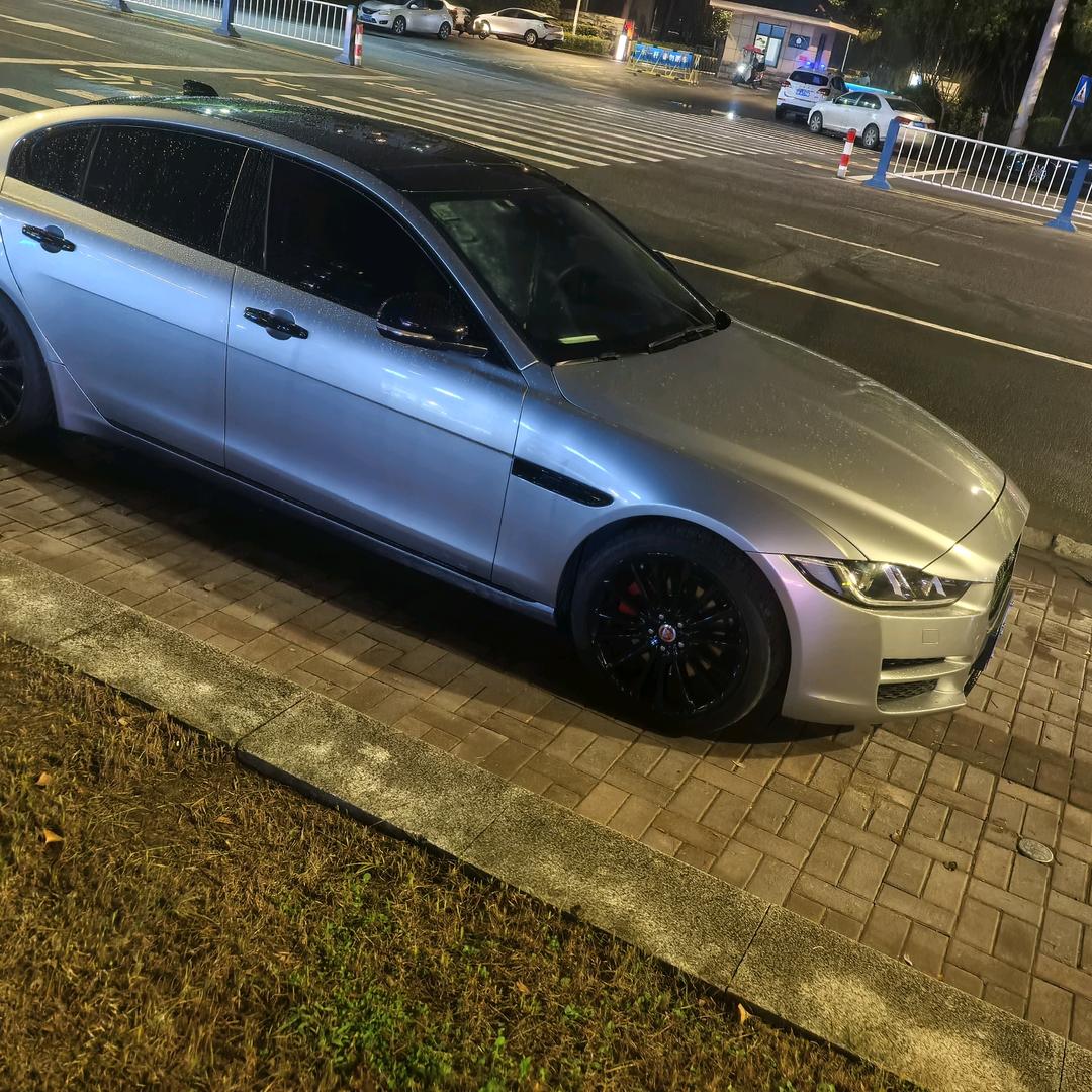 自由飞翔
