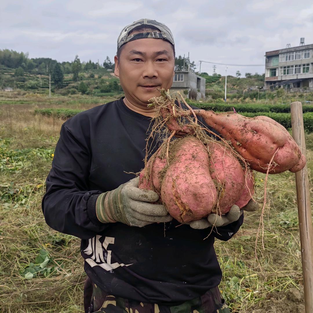 🇨🇳畲族蓝泰哥🇨🇳