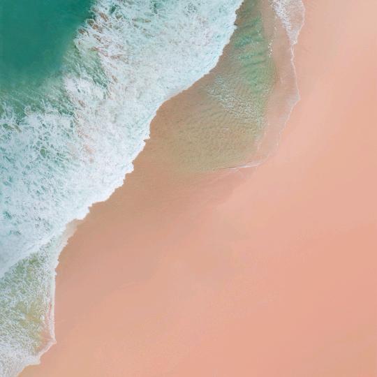 王浩轩