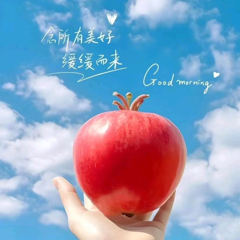 简物生活家