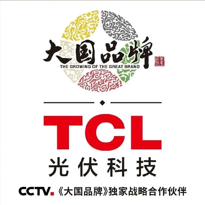 TCL 光伏科技博白冼金钟