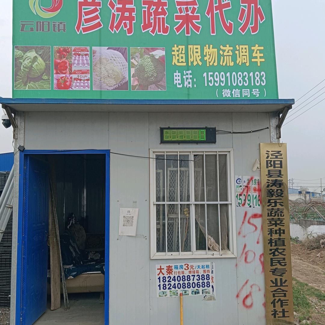 泾阳县涛毅乐蔬菜种植农民专业合作社