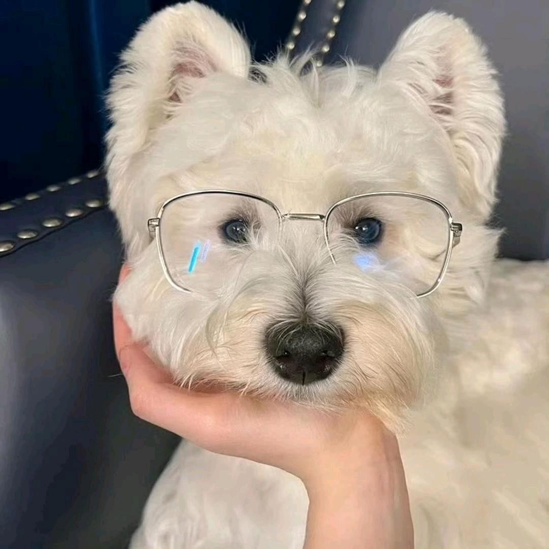 江就对了
