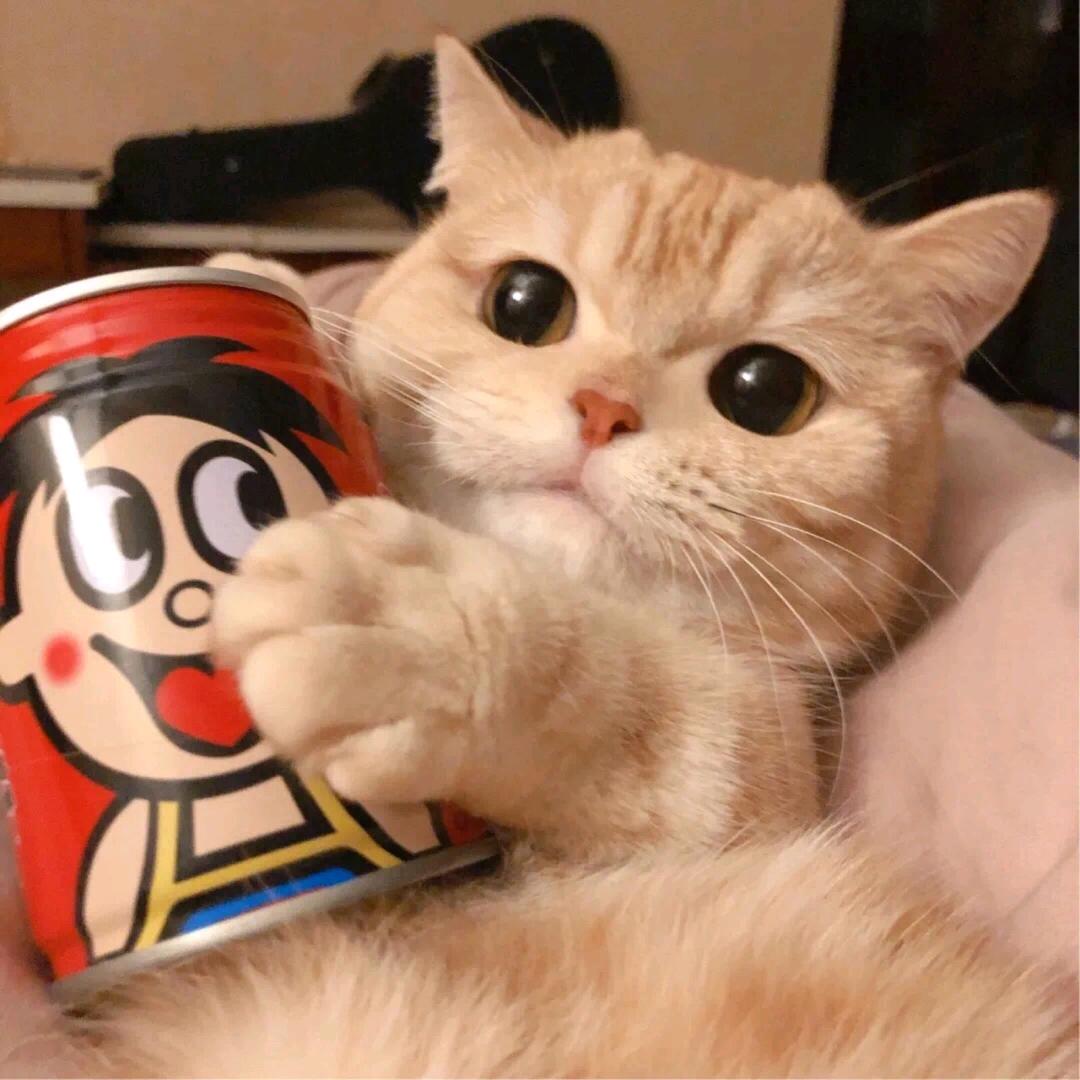 千喵甄选