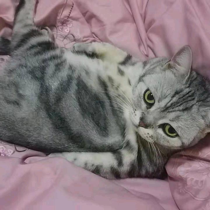 芜湖小蒋