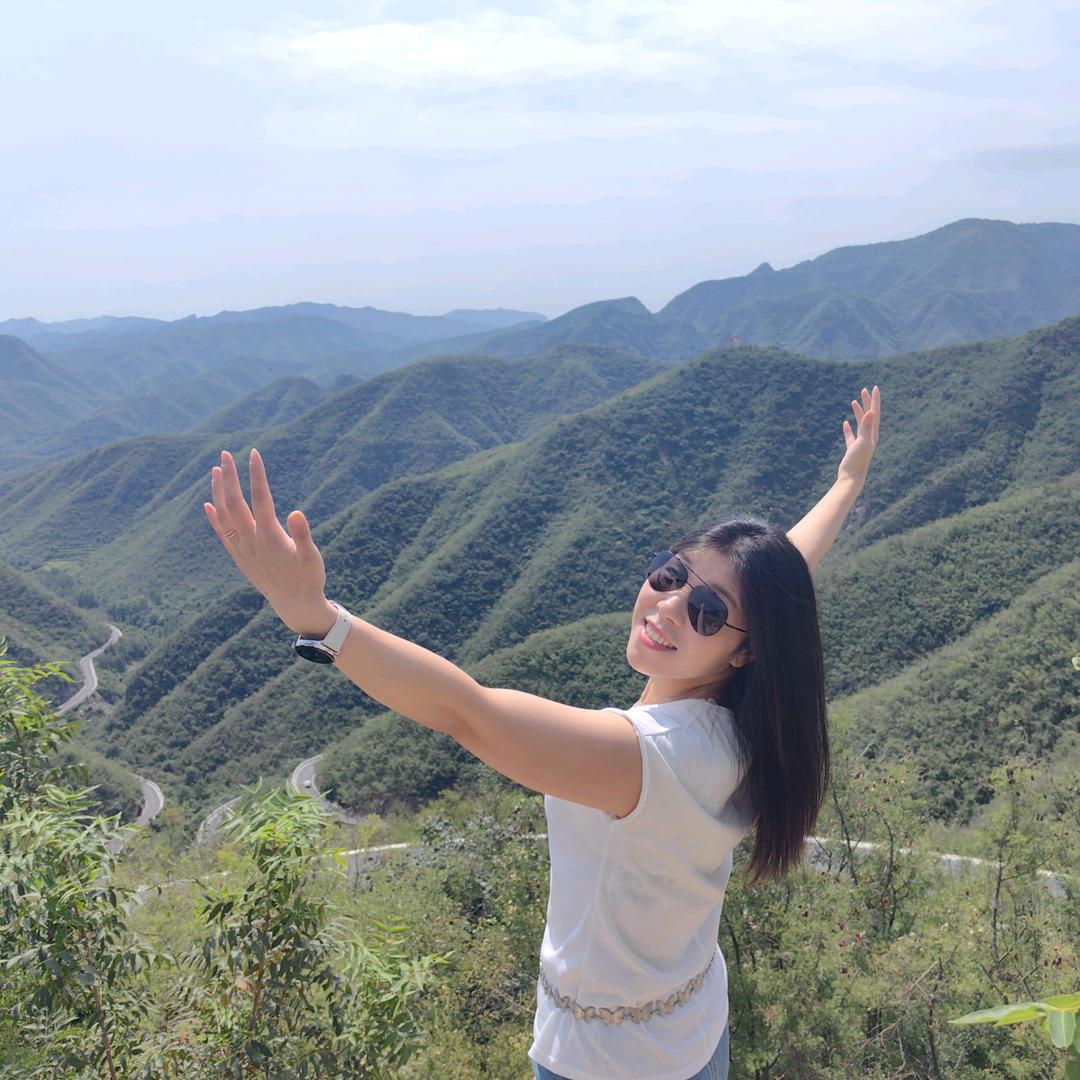 释怀鸟🌻
