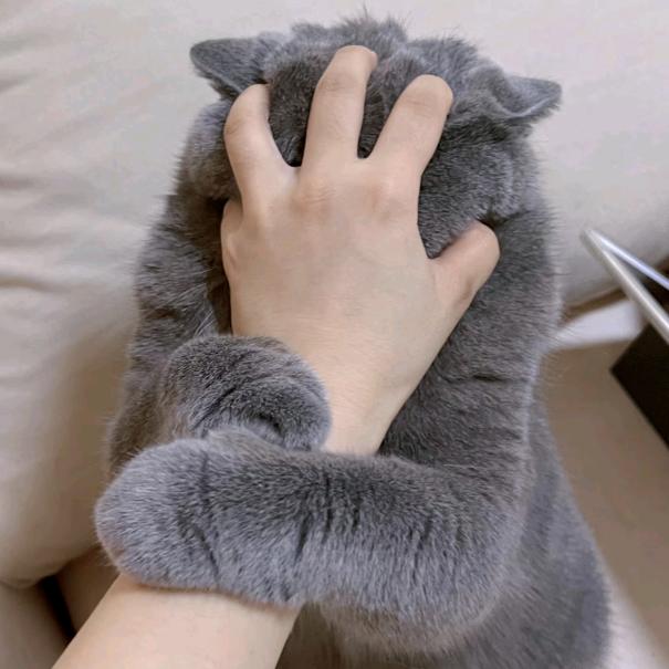 是萌萌吖