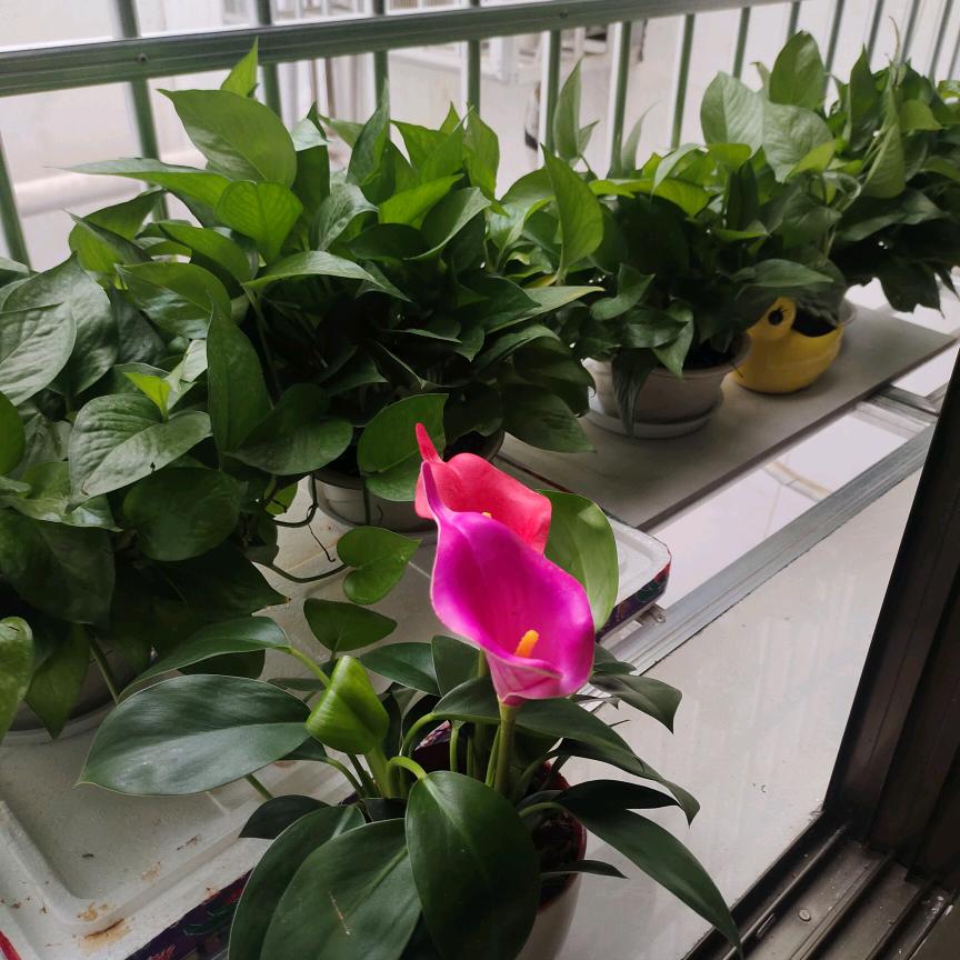 风清ゞの云淡ゞ