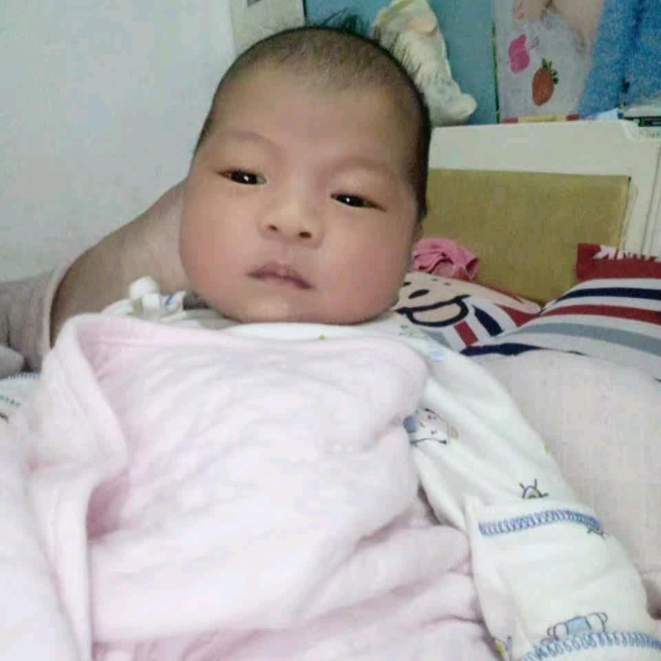 AI　往哪里跑(｡･㉨･｡)