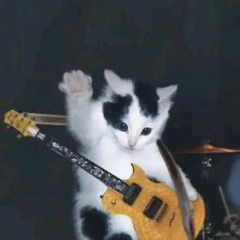 就当是真心喂狗了