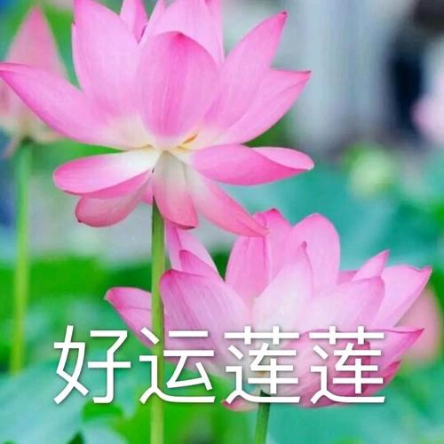 做自己的太阳，