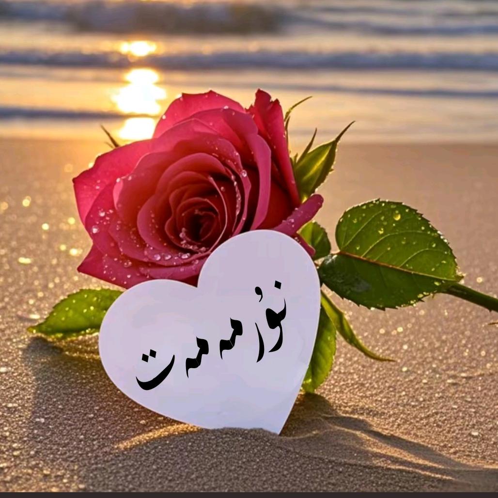 yaprak4788