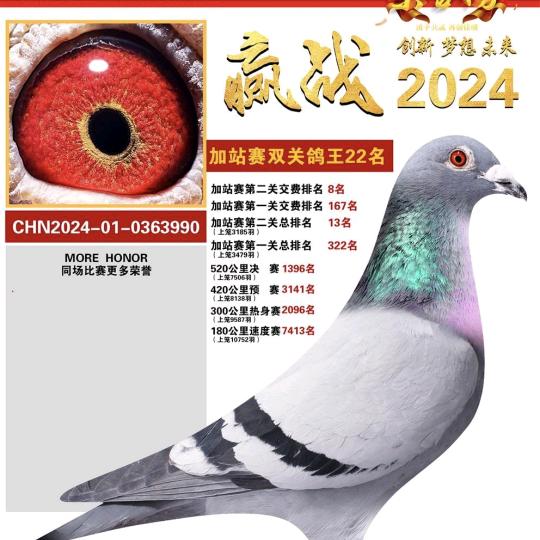 长春诚信关关赢鸽苑