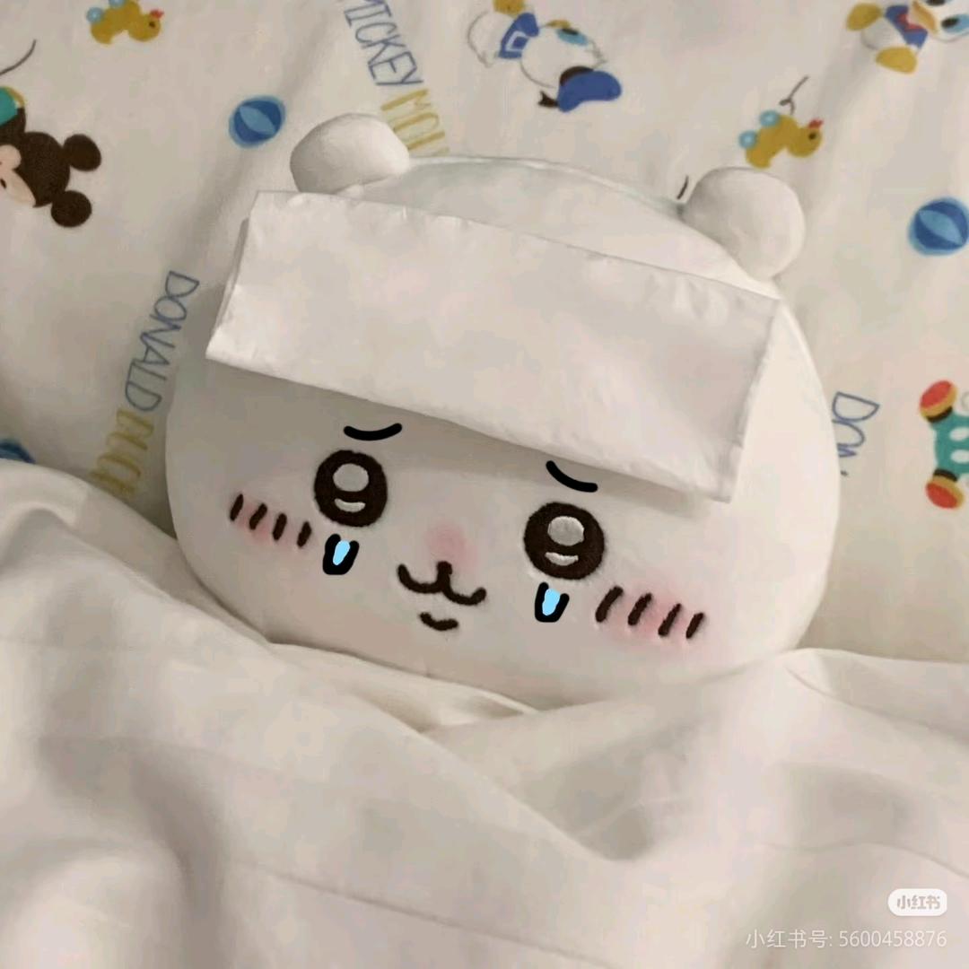 钎城家的小书包