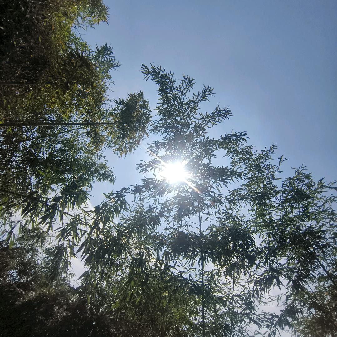 65841235489651478368