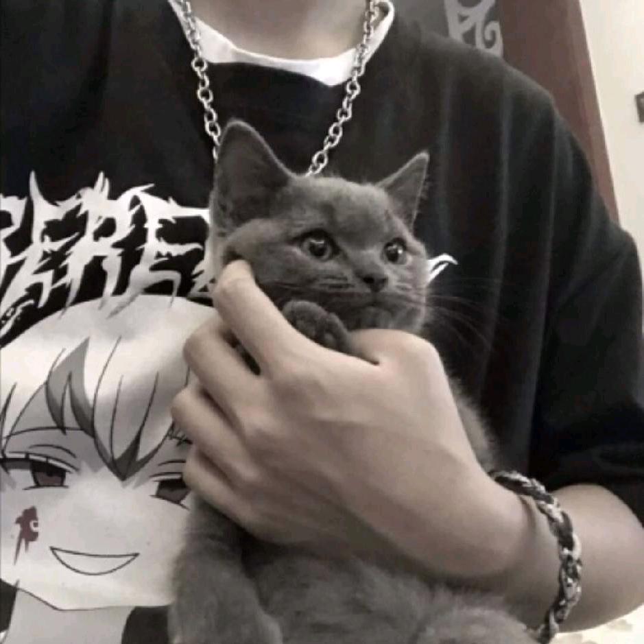 来两碗豆腐脑