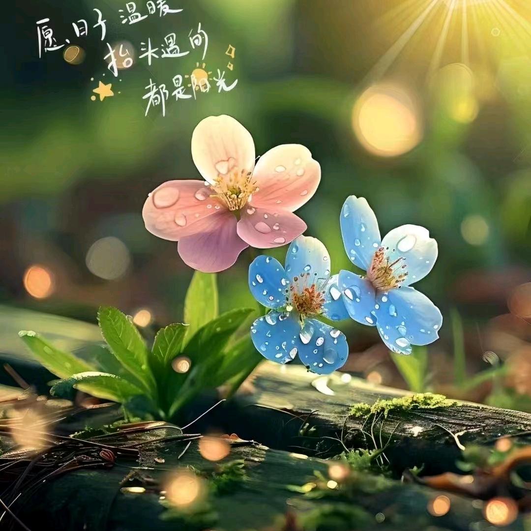 80后娟姐姐