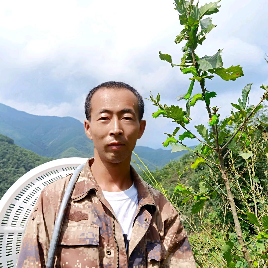蛹香小铺