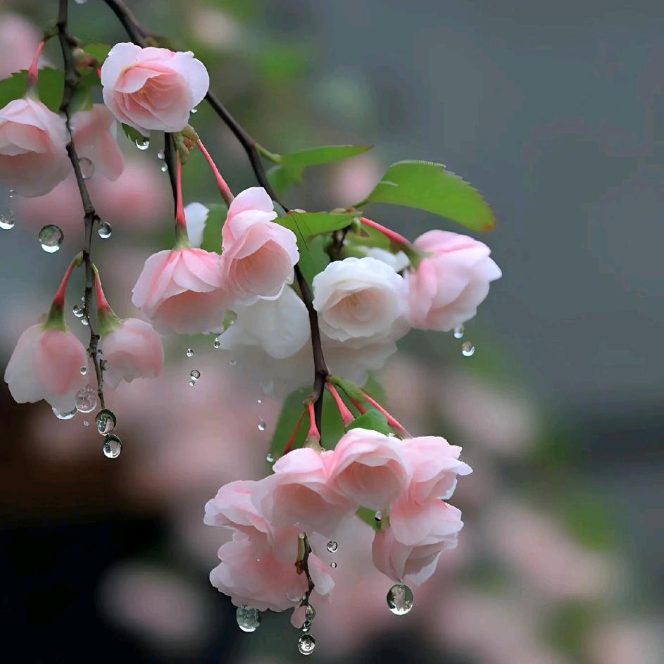 ๑. 余生随心້໌ᮨ🎐