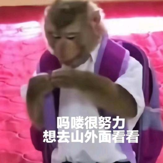 君可归己