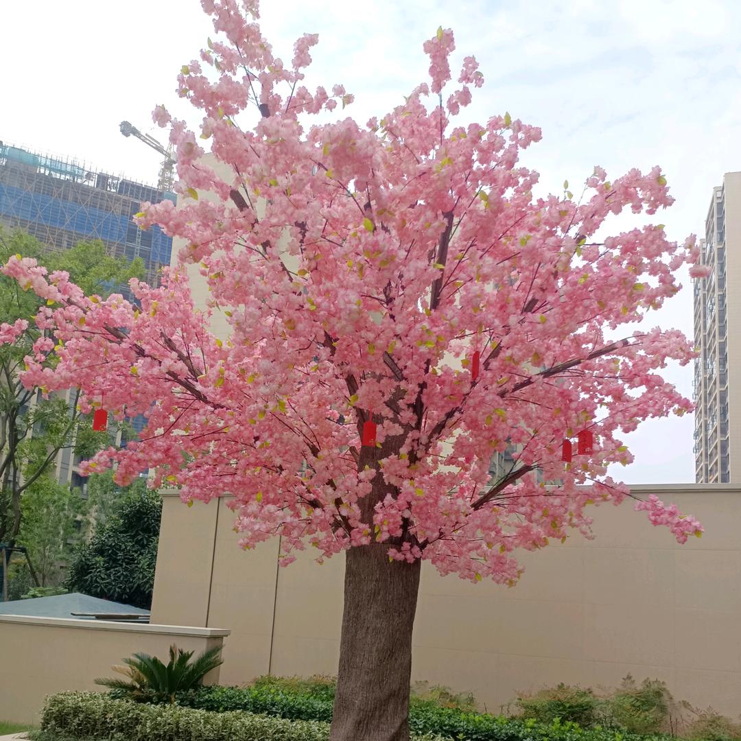 ༄℘⃝清℘⃝酒℘⃝孤℘⃝欢࿐