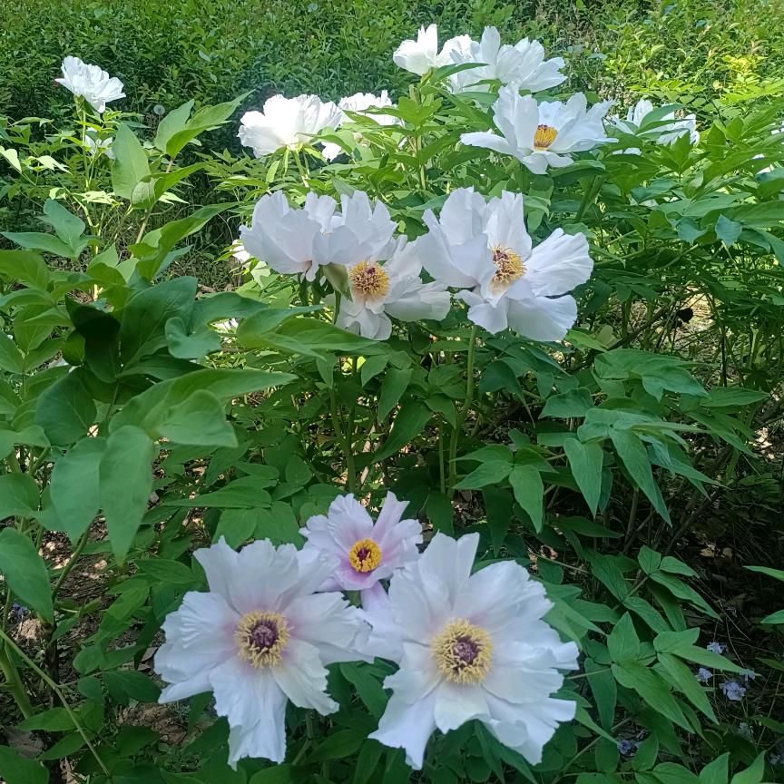 ☞稳稳的幸福☜