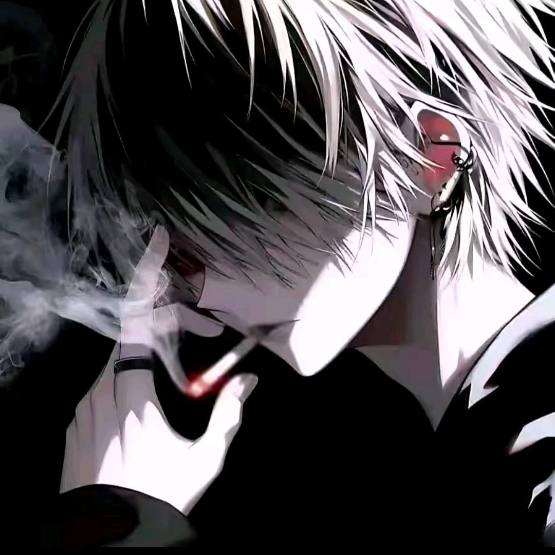 随缘的风