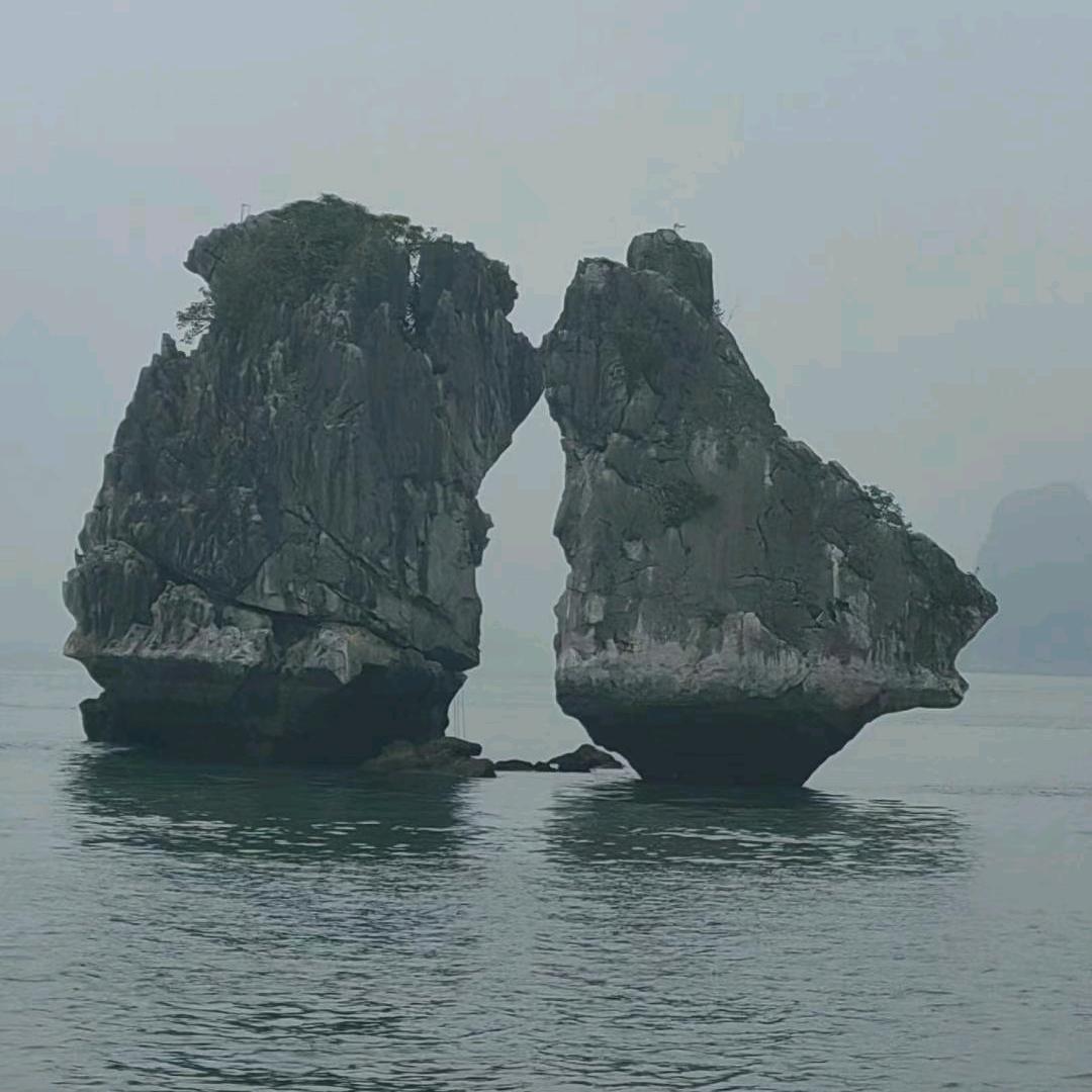 西北叫我去喝风