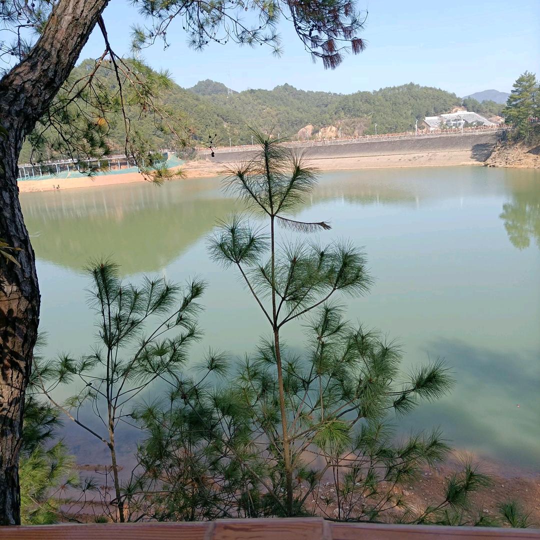 用户名52239816头像