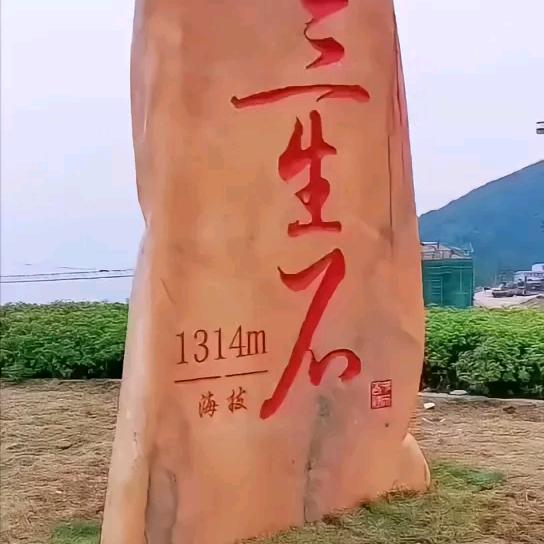 风雨同舟