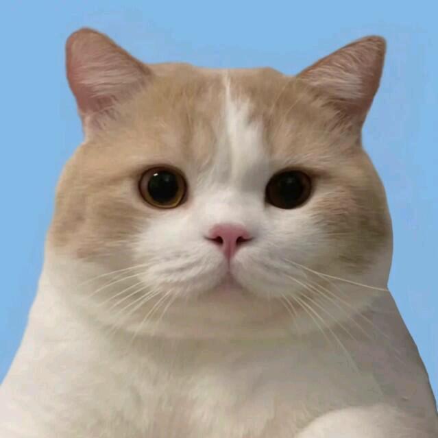 木头人