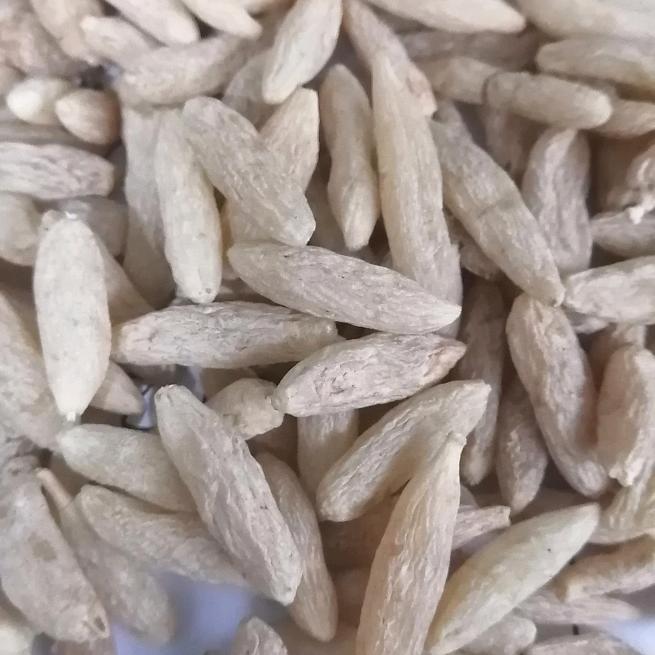 主营川麦冬，巴戟天