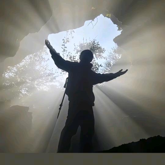 蓝桉已遇释槐鸟