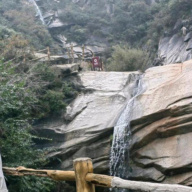 🍎小富🍎