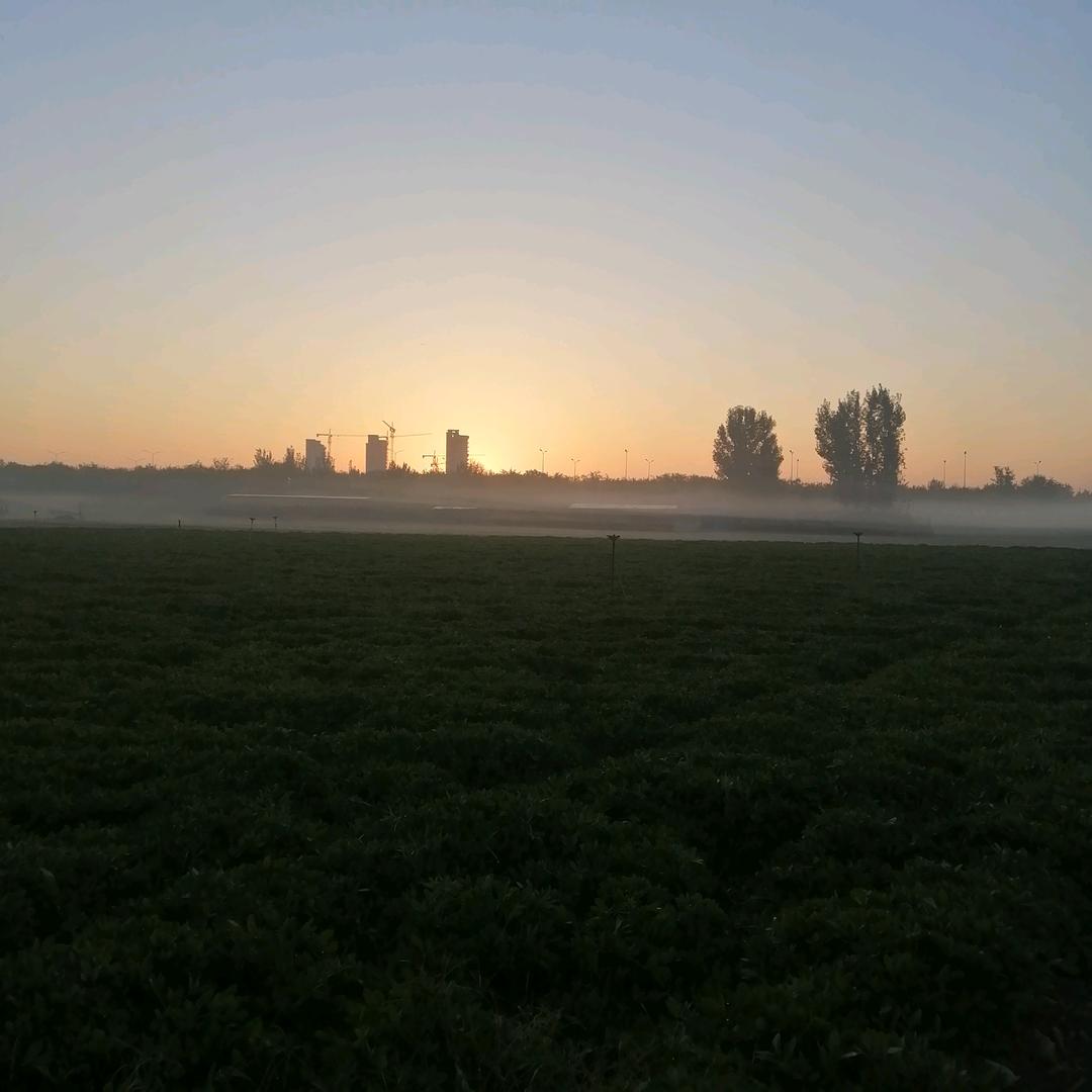 🖖  勇往直前  🐯