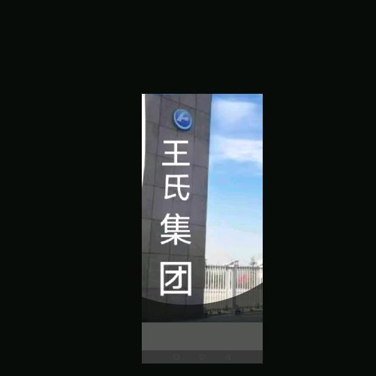王氏集团
