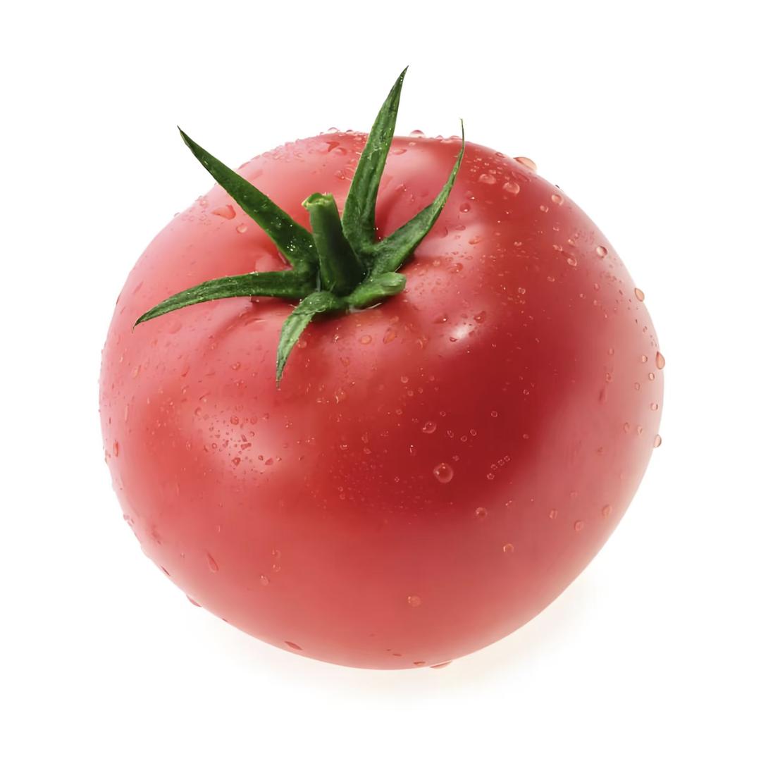 圆滚滚的番茄🍅
