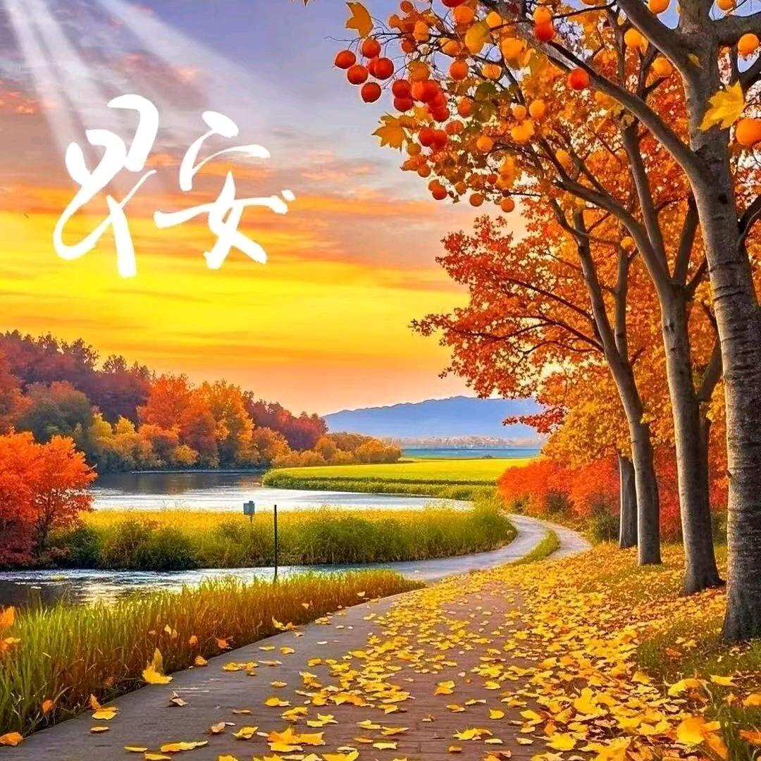 心若凉了该怎么暖