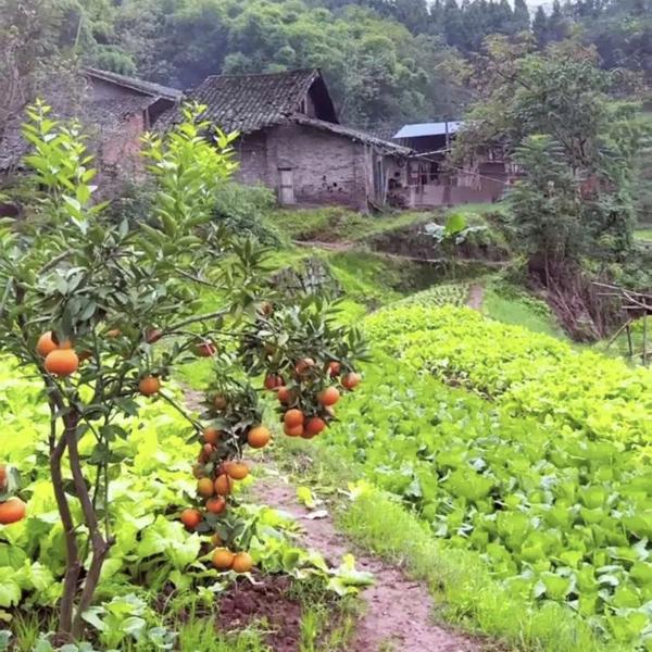 黔腊味优品小铺