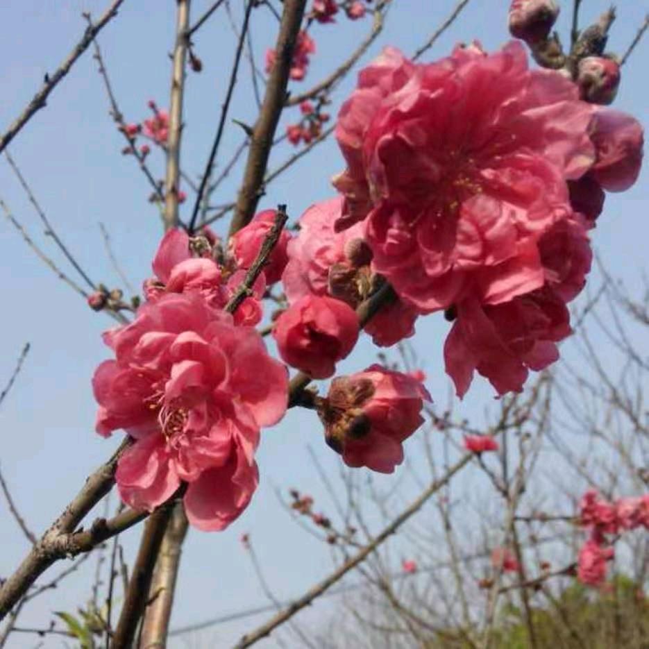 爱你一生一世