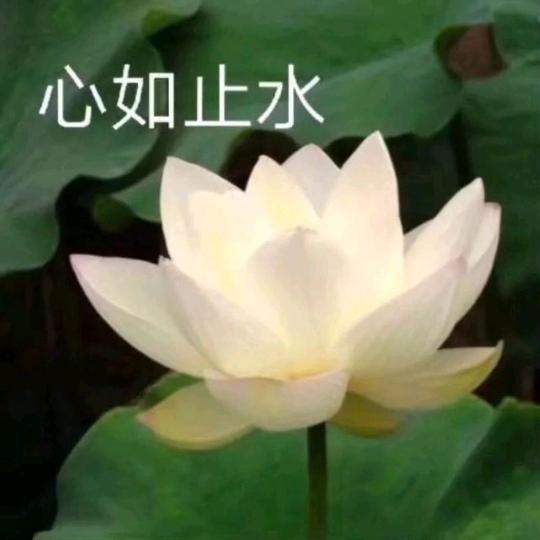 王铁桥