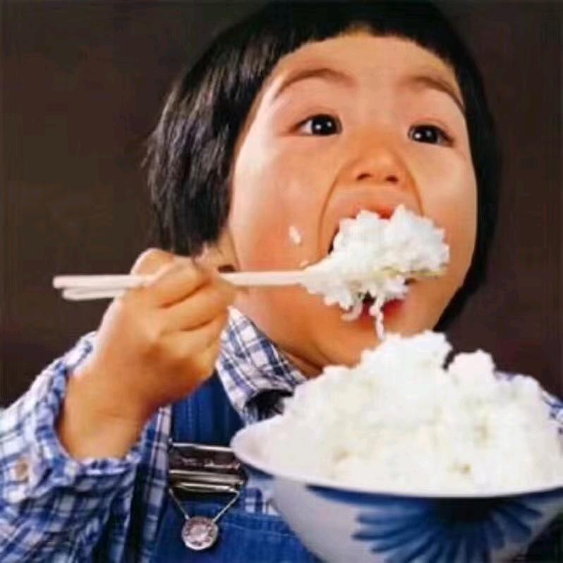 小张的装修日记