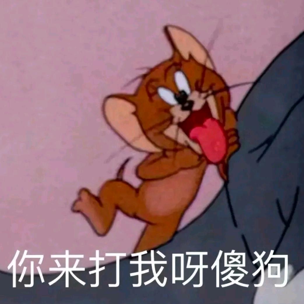 想跟落崽玩