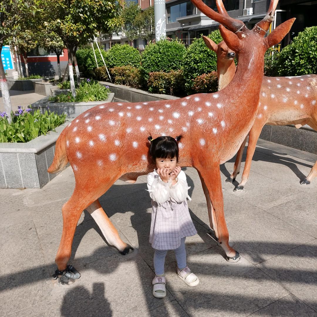 赵先生