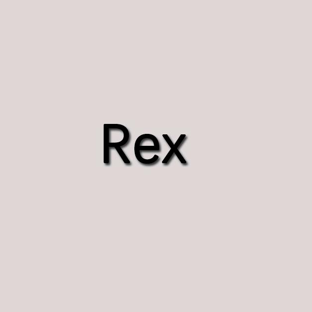 Rex瑞克斯男装